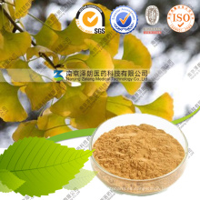 Fabricante Extracto de Ginkgo Biloba Polvo Extracto de Ginkgo Biloba Proveedor